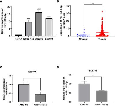 Downregulation of miR-135b-5p Suppresses Progression of Esophageal Cancer and Contributes to the Effect of Cisplatin